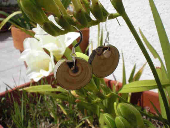 Round shaped wooden earrings (Arbequina olive tree wood)